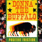 Donna the Buffalo: Positive Friction