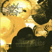 Lion Ferdi by Cerebral Turbulency