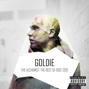 The Alchemist: The Best of Goldie 1992-2012 (Disc 2)
