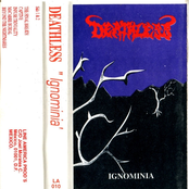 Ignominia