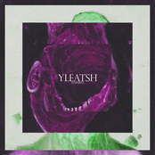 Yleatsh
