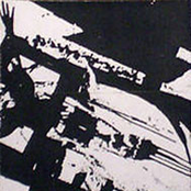 Cocoon Hides The Immortal