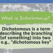 Diechotomy