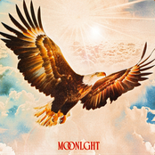 Moonlght: Free Bird