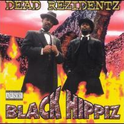 black hippiz