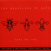 Feel My Way