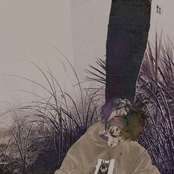 Nightmare Fuel Forest