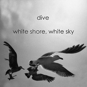 Wintermute by Dive