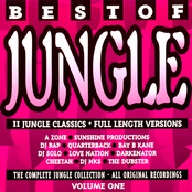 Best of Jungle, Volume 1