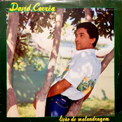 Lição de Malandragem