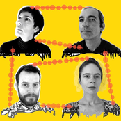 Laetitia Sadier Source Ensemble