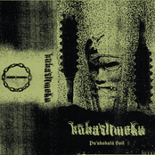 Pu'ukohalā Soil