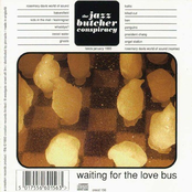 Sweet Water by The Jazz Butcher Conspiracy
