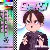 HDMICASUAL SOFTWARE 2000