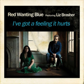 I've Got a Feeling It Hurts (feat. Liz Brasher) - Single