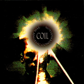 Montecute by Coil