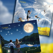 Muriel Anderson: Nightlight Daylight