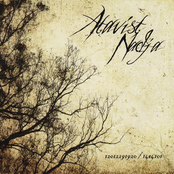 12012291920 / 1414101 + II: Points At Infinity