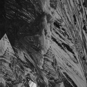 I woke up to that for flying ants crawling through the curtain