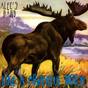 Like a Powerful Moose