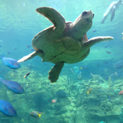 Gateway to another place