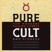 The Cult: Pure Cult