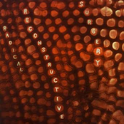 Scotty Hard's Radical Reconstructive Surgery-John Medeski, Matthew Shipp