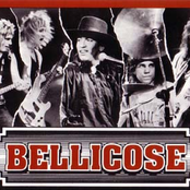 bellicose