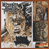 Deranged Toilet Torture//Larval Therapy Split (DXTXT SIDE)