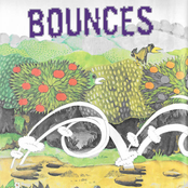 bounces