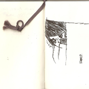 you don't fit the mold