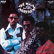 Una Bella Melodia Brazilania by The Main Ingredient