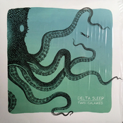 Delta Sleep: Twin Galaxies