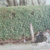 Здравствуйте