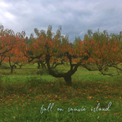 Fall on Sauvie Island
