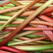 Rhubarb Pie