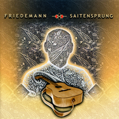 Saitensprung by Friedemann