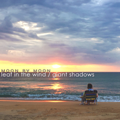 Leaf in the Wind / Giant Shadows