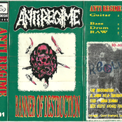 Banner Of Destruction