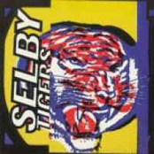 Sidewalk / Gene Pool