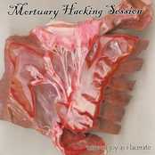 Tears Of Joy As I Lacerate