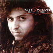You Gave Everything by Scott Wenzel