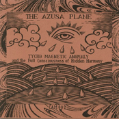 Tycho Magnetic Anomaly and the Full Consciousness of Hidden Harmony