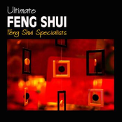 feng shui specialists