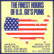 The Finest Hours Of U.S. 60's Punk