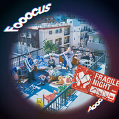 フラジャイル・ナイト