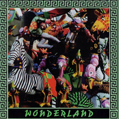 Wonderland