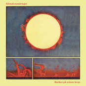 Mørket på solens krop