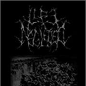 The Fall of Man (Demo)