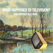 What Happened to Television Album Picture